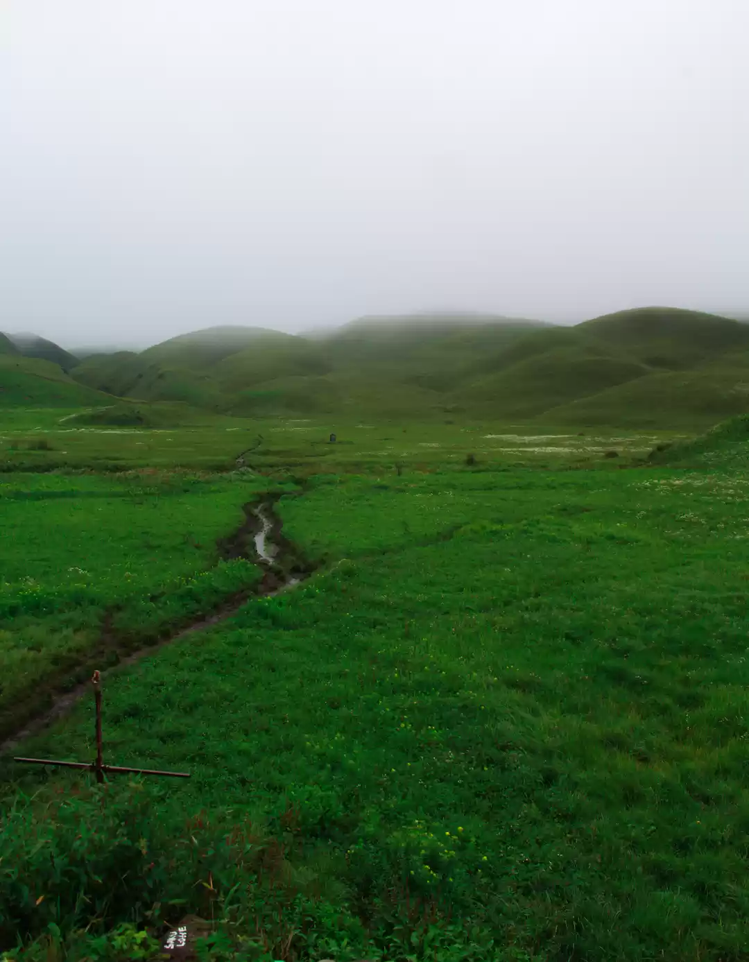 Photo of Monsoon Dzukou in j