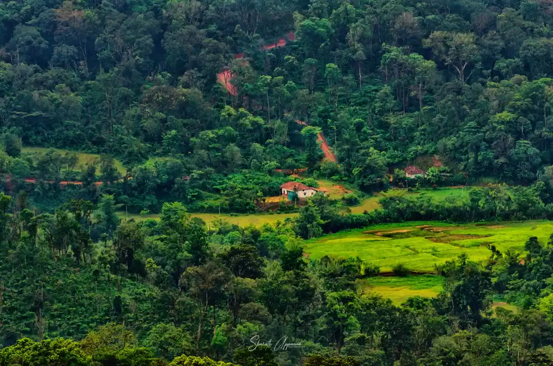 Photo of mesmerizing mandalpa