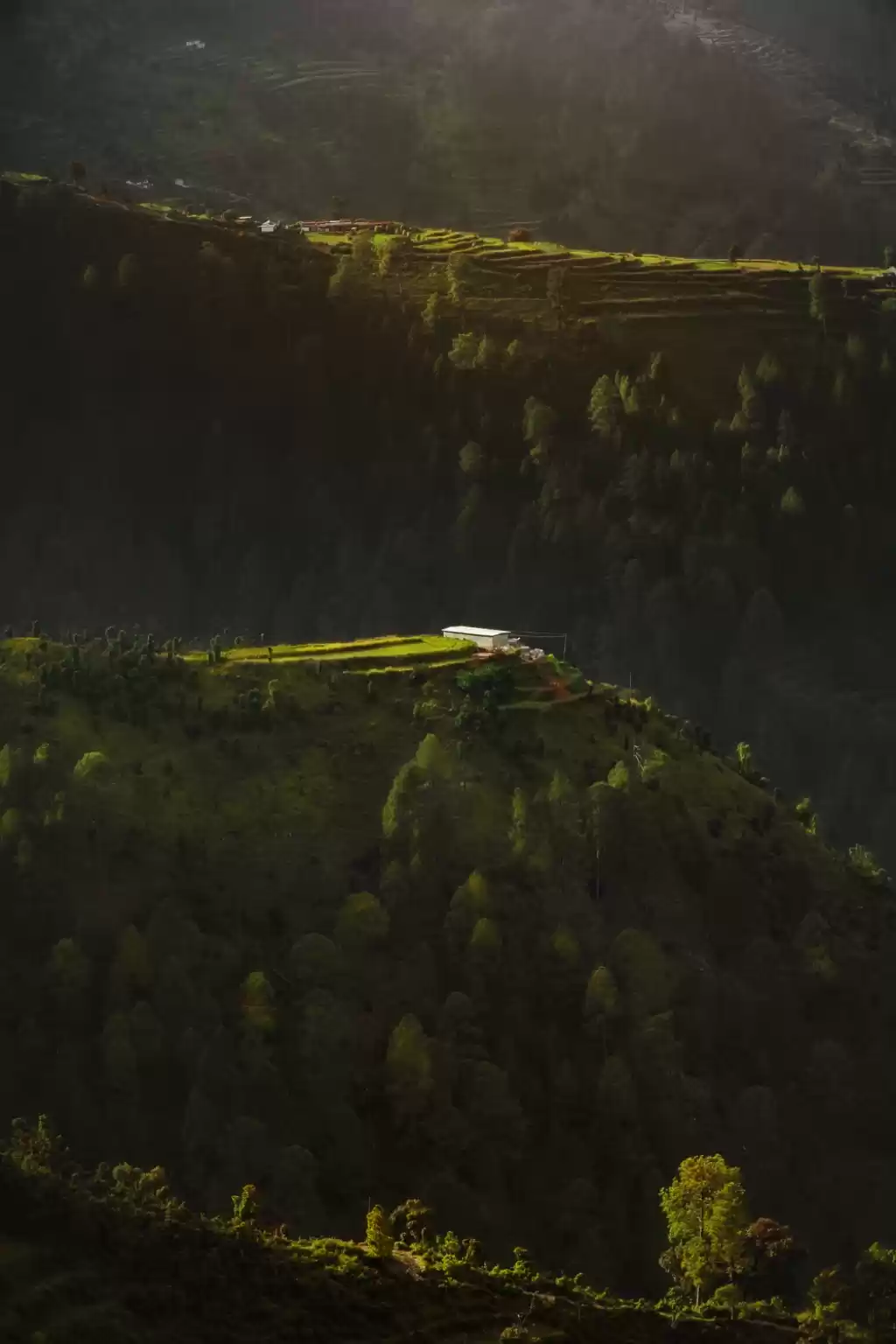 Photo of Beautiful Terrace Fa