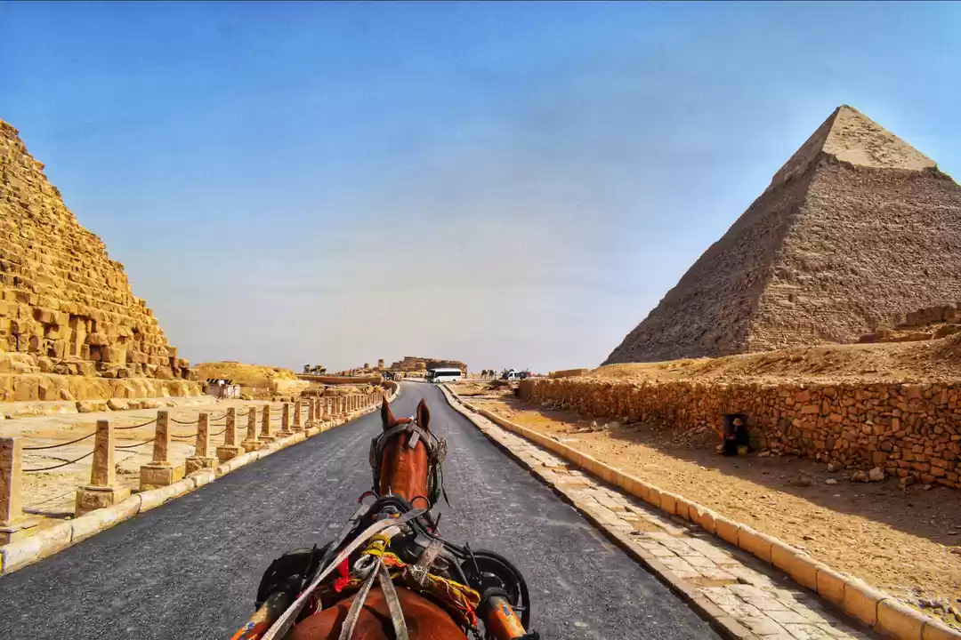 Photo of Have you ever met yo