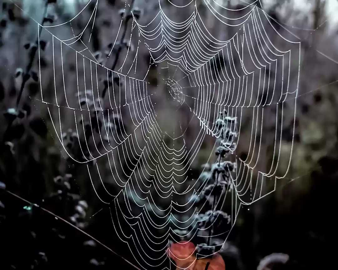 Photo of #BestTravelPictures