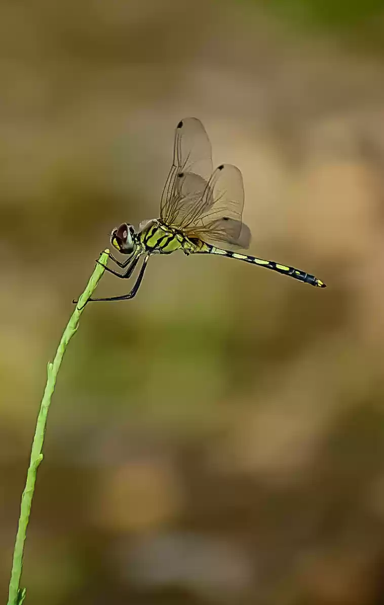 Photo of #BestTravelPictures