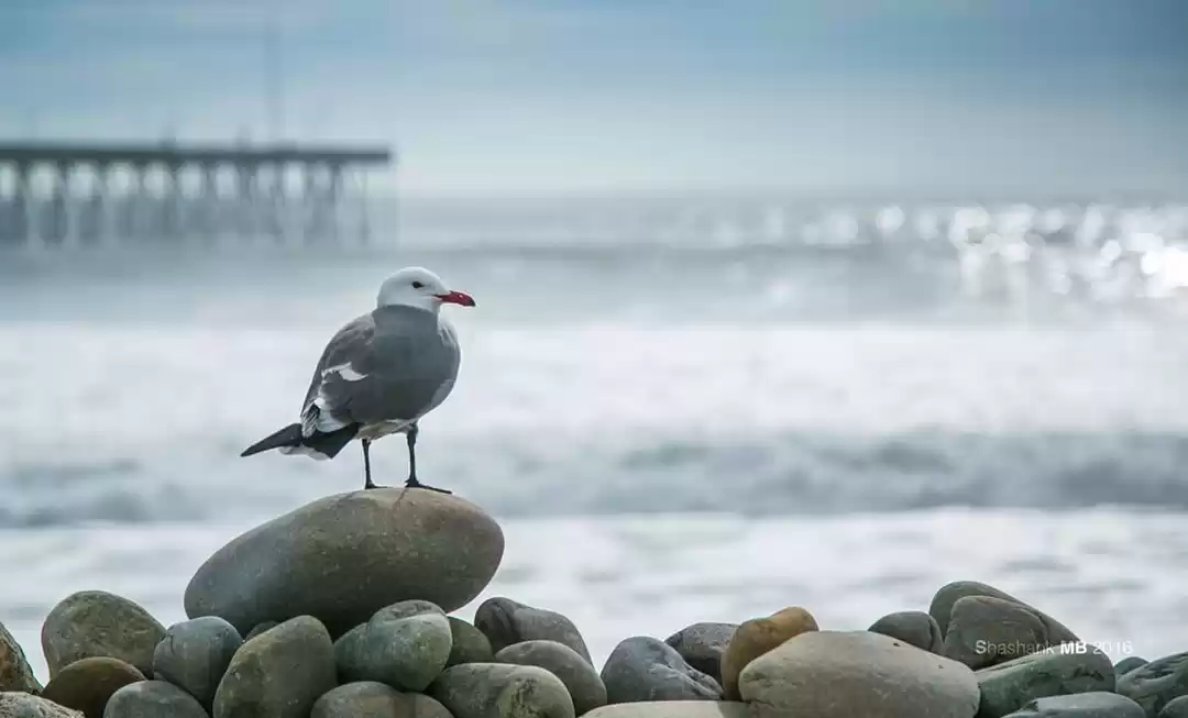 Photo of A beautiful day