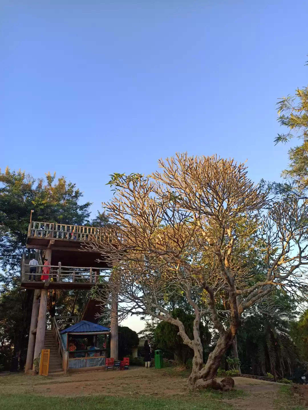 Photo of थम जा, रुक जा, ऐ समा