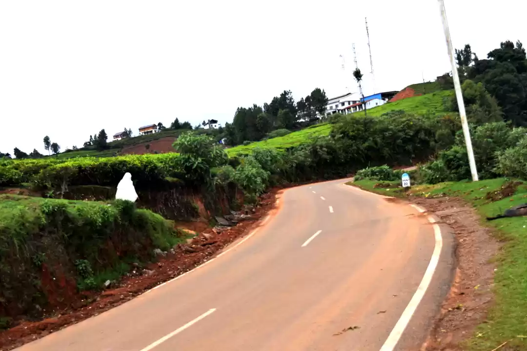 Photo of To Nilgiris and Beyo