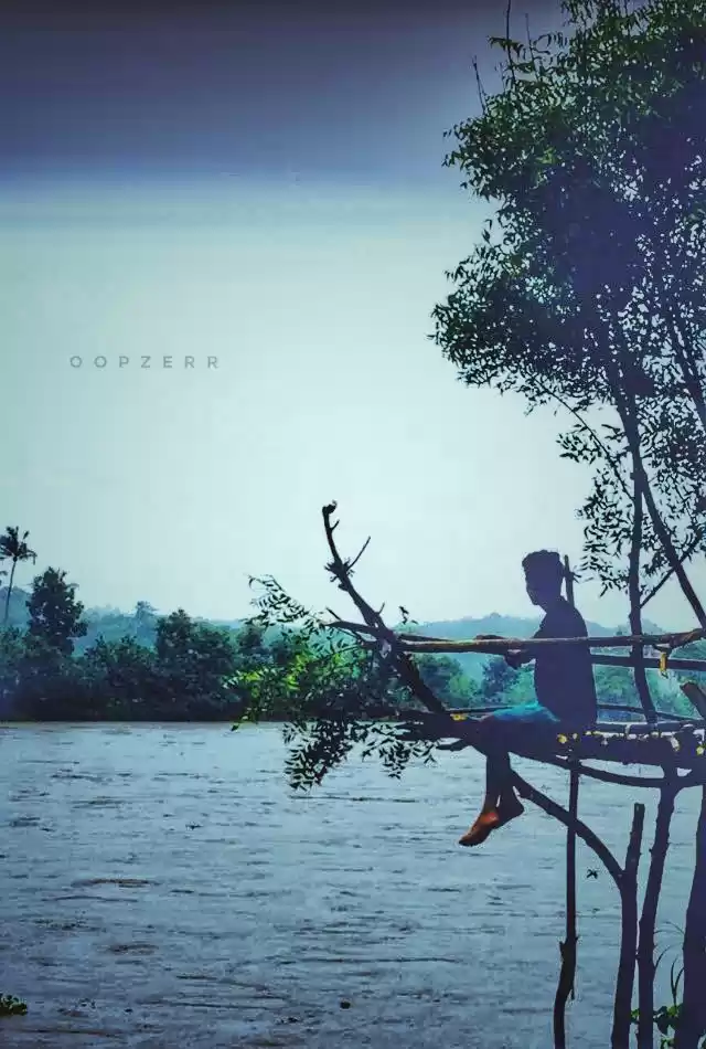 Photo of Alone