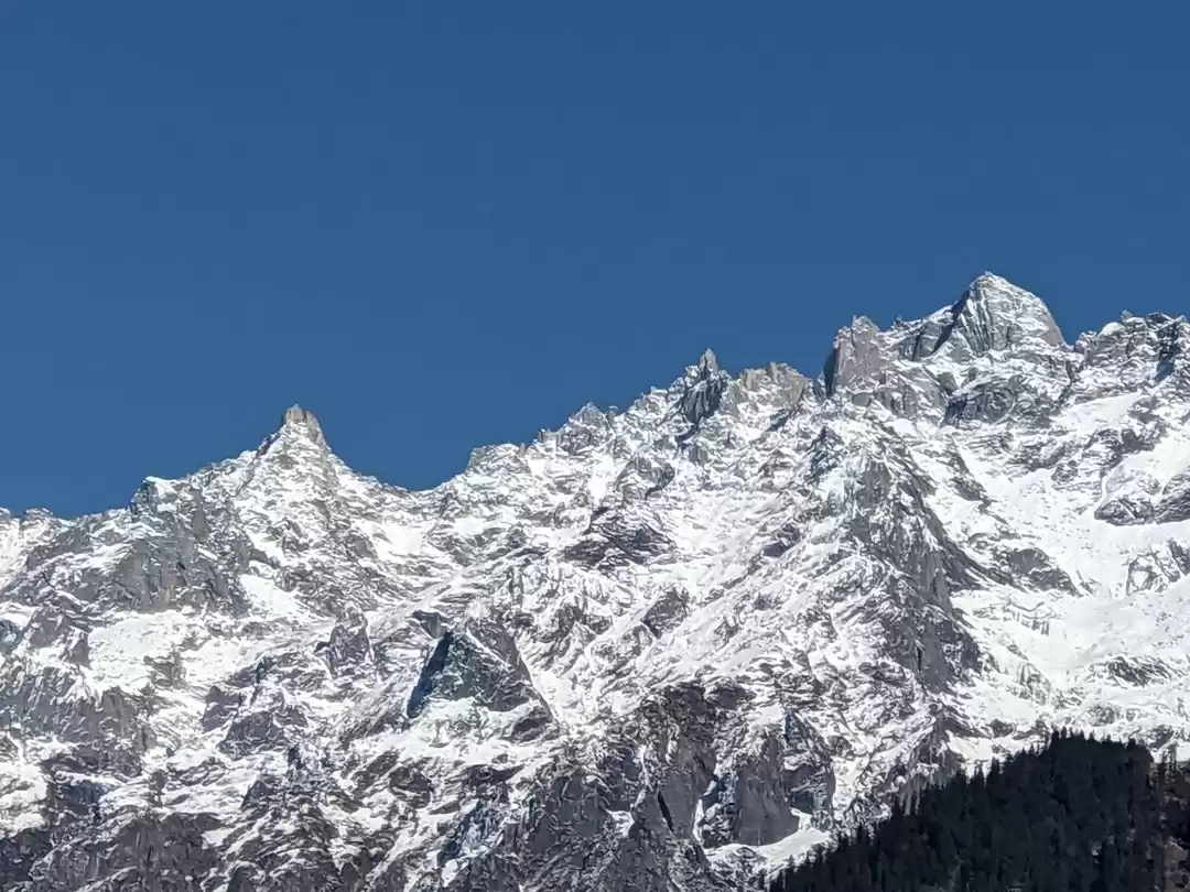 Photo of My Experience of Liv