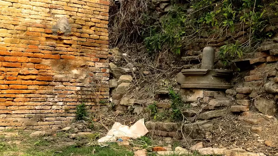 Photo of Mountain Madness : N