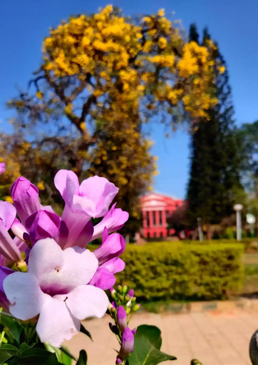 Photo of Cubbon Park, Bangalo