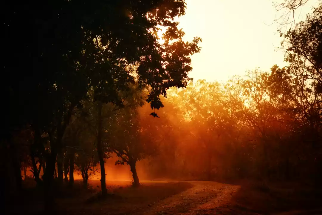 Photo of Village sun set