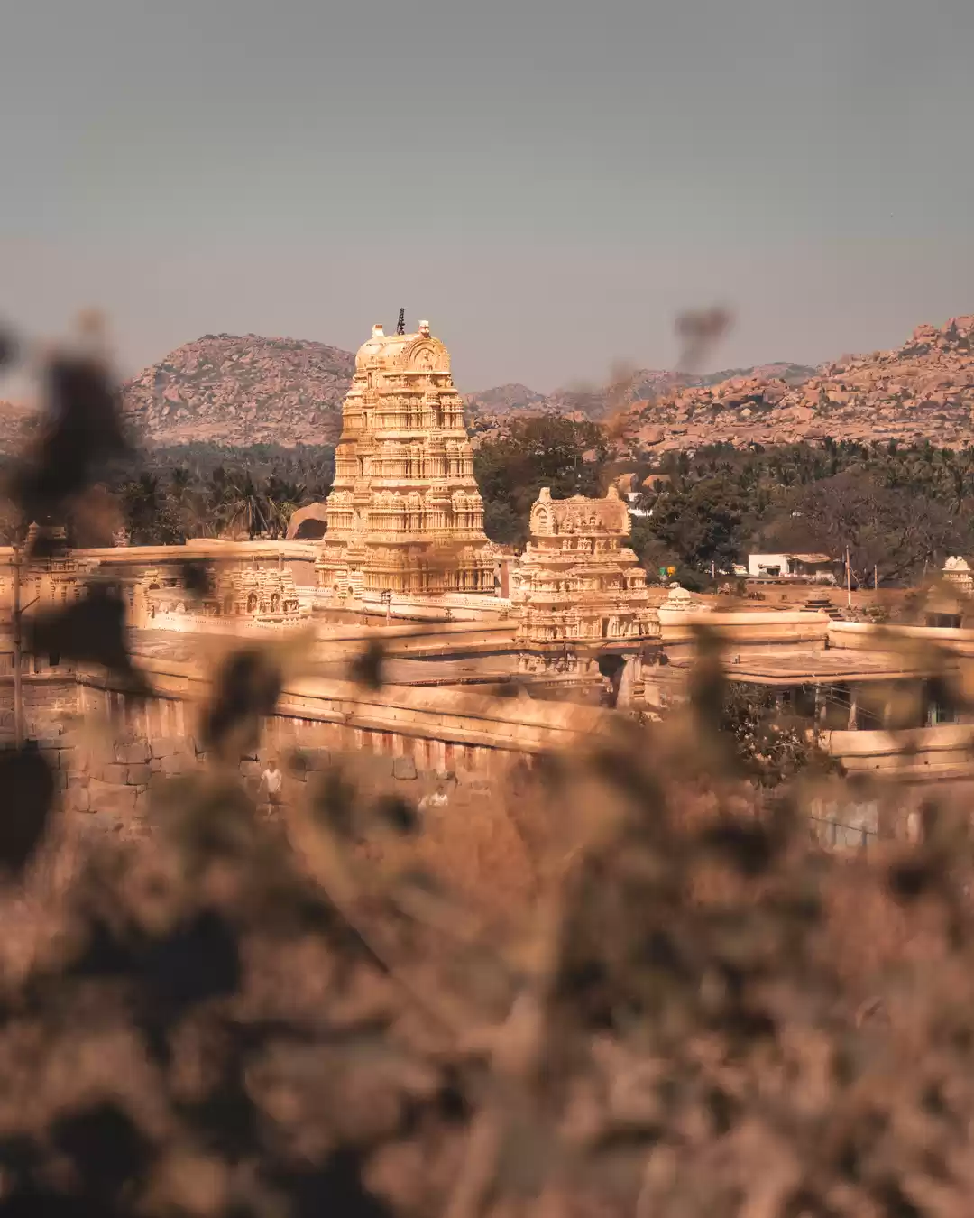 Photo of In the land of bould