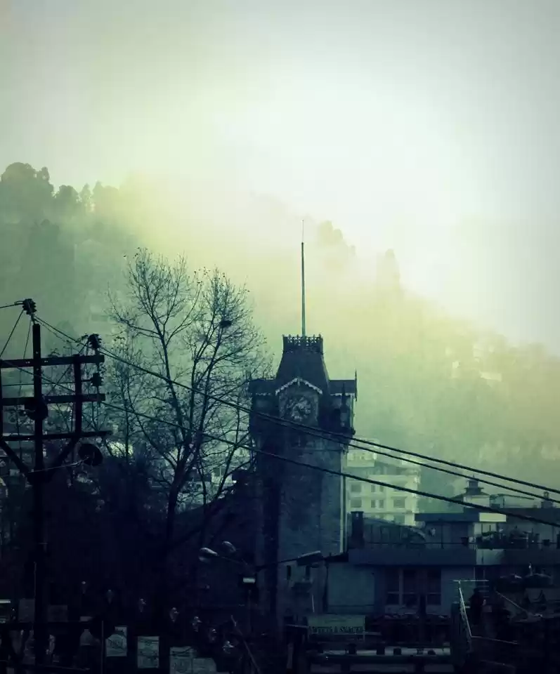 Photo of Taming Darjeeling