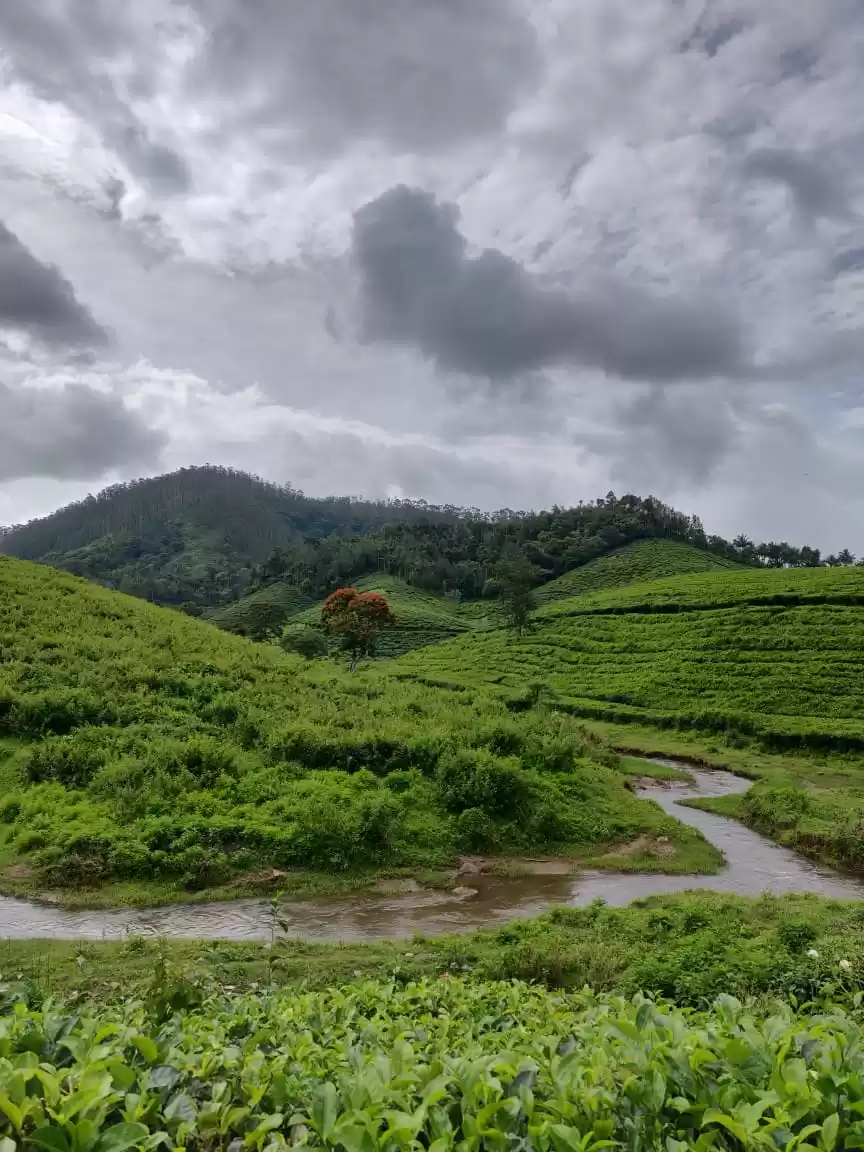 Photo of Paranthumpara - The 