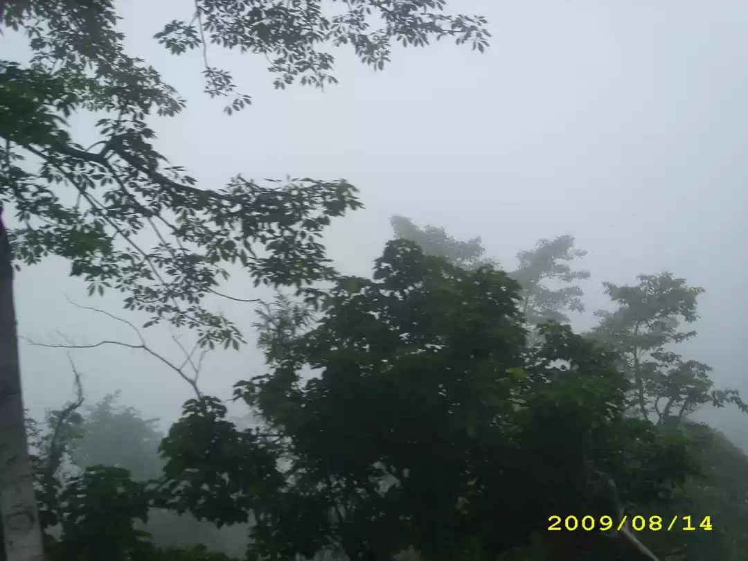 Photo of A Misty Trip: Throug