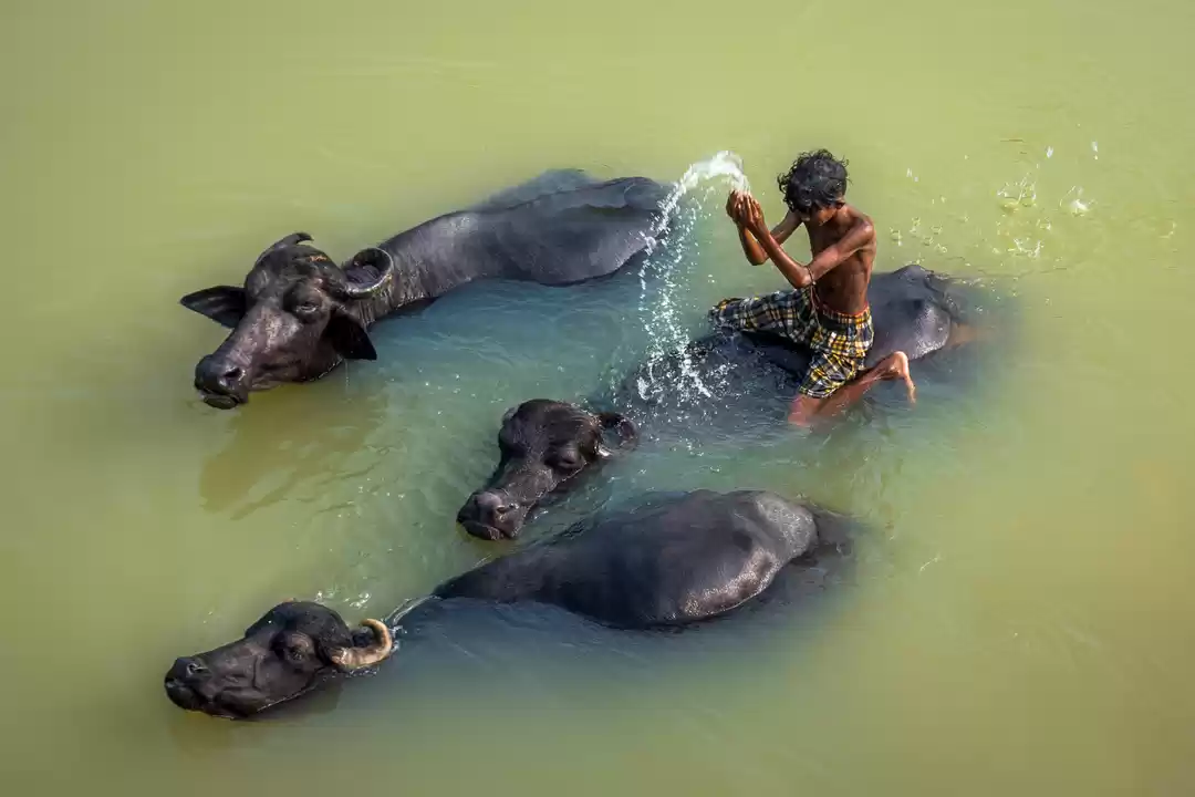 Photo of Locals Wash Their Ca