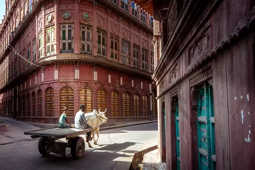 Photo of The Wanderer Rampuri