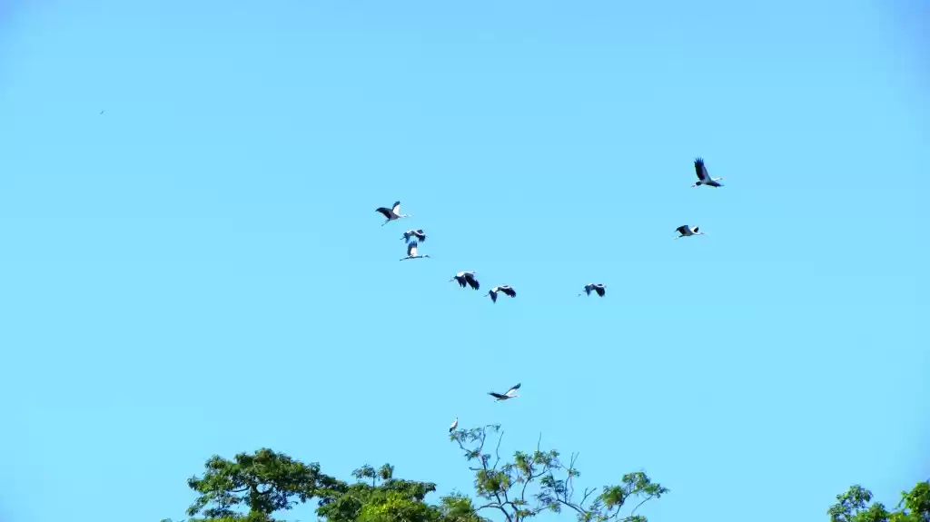 Photo of Meghalaya + Kazirang