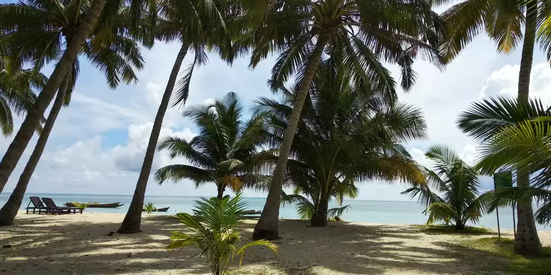 Photo of My Solo Trip to a Ro