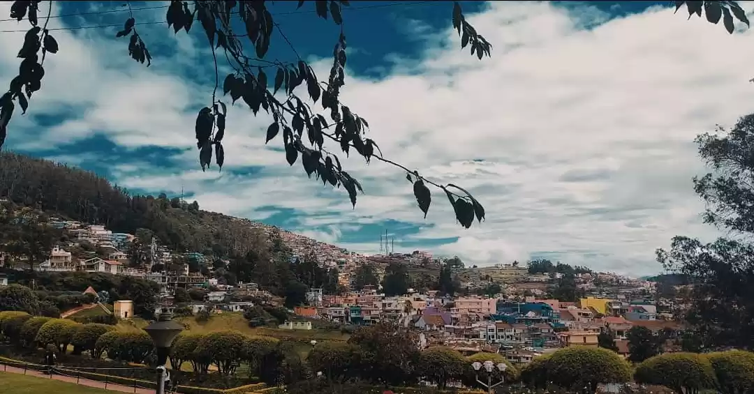 Photo of ooty rose garden