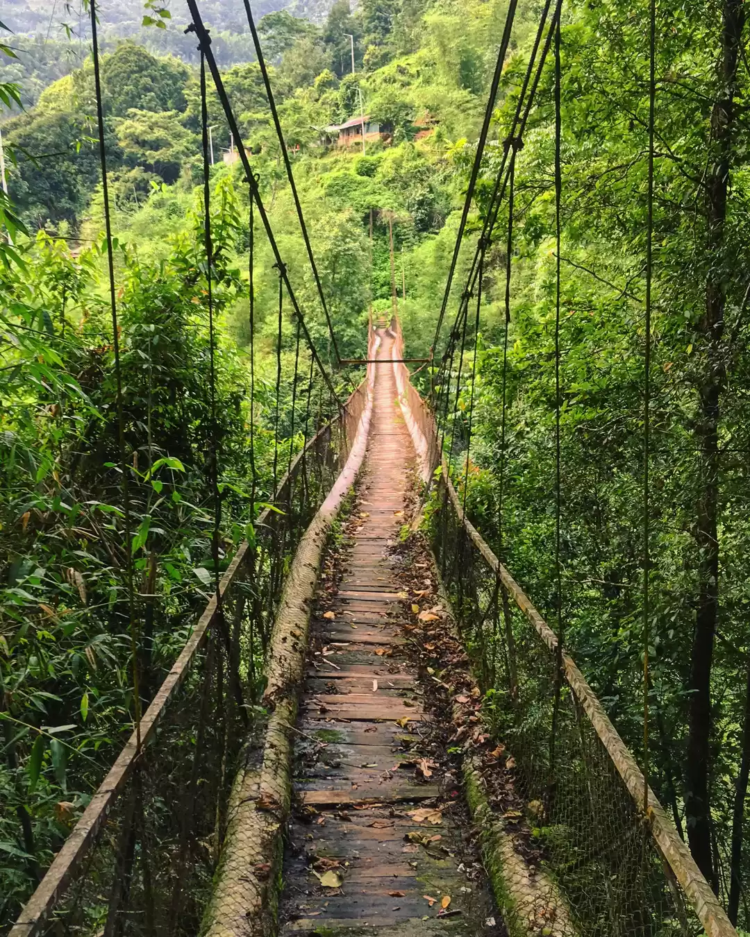 Photo of Sidrapong: Home to A