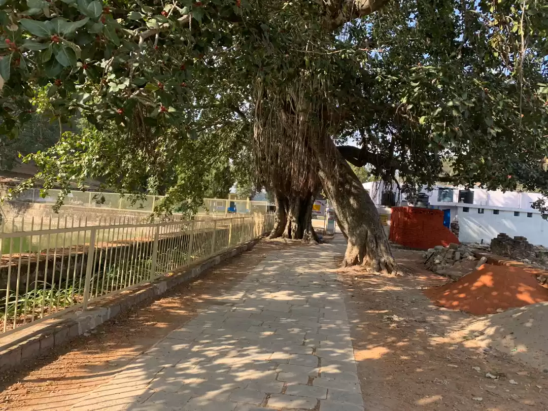 Photo of Masroor Rock Cut Tem