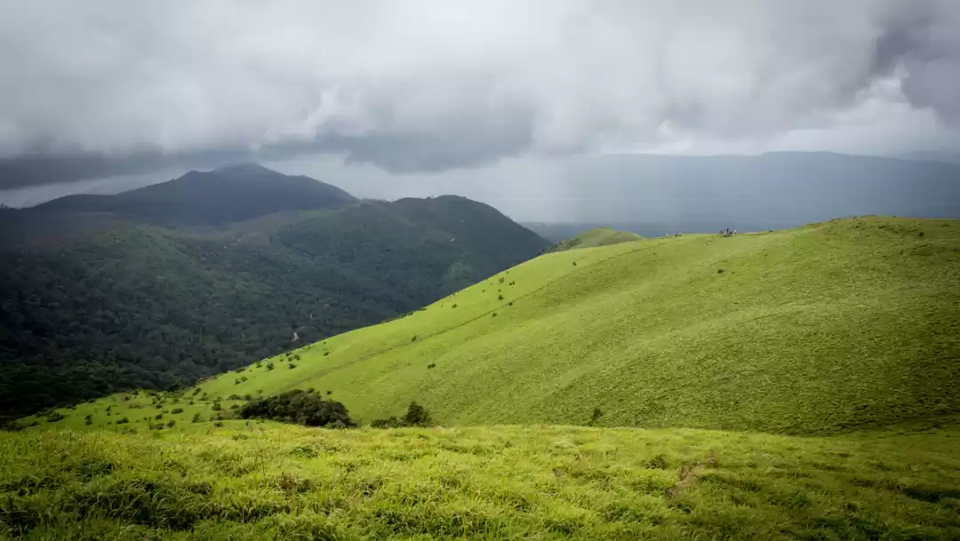 Photo of "Two Shades of Green