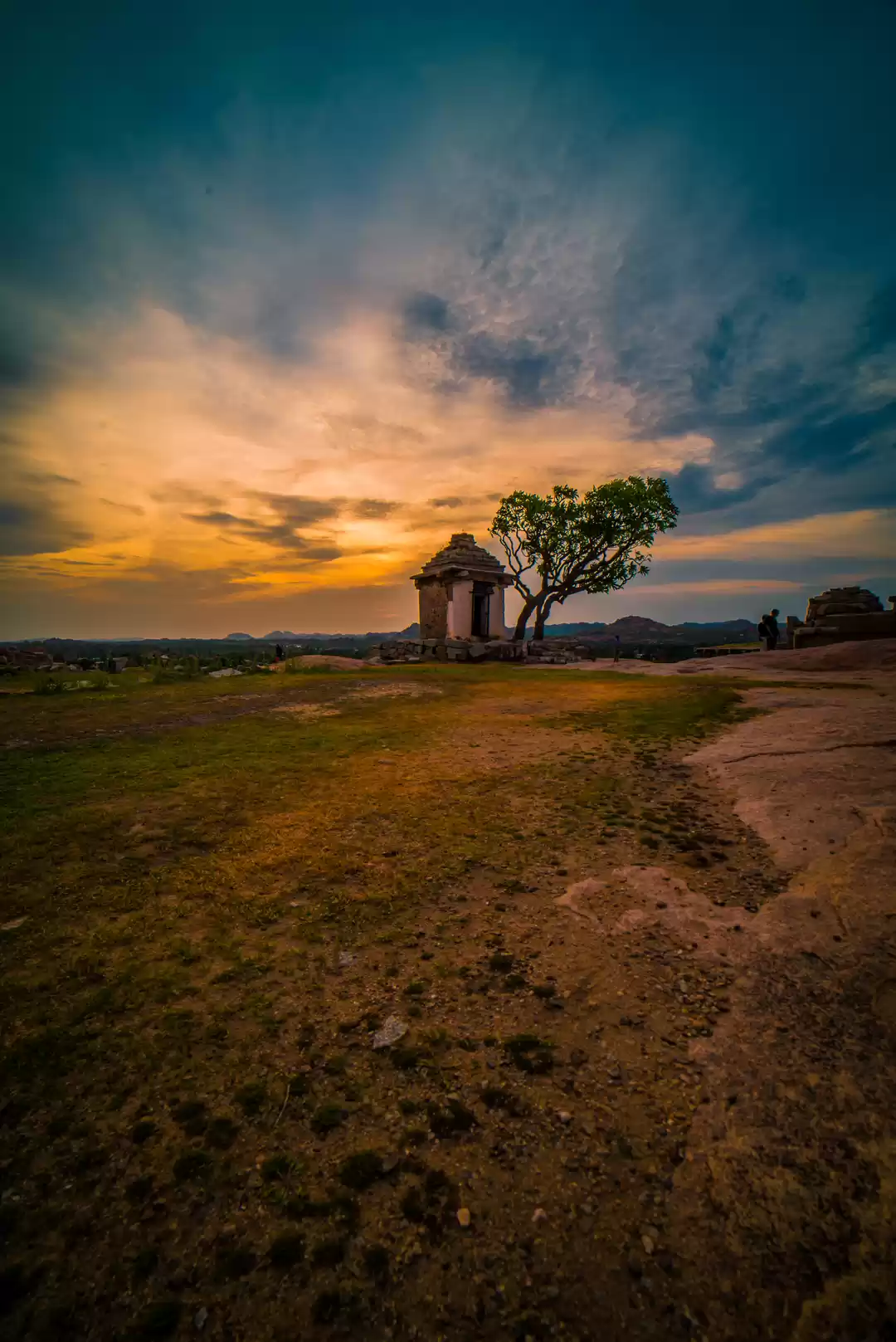 Photo of The Elements Of Beau