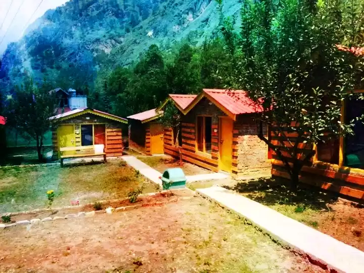 Photo of BRICK AND WOOD COTTA