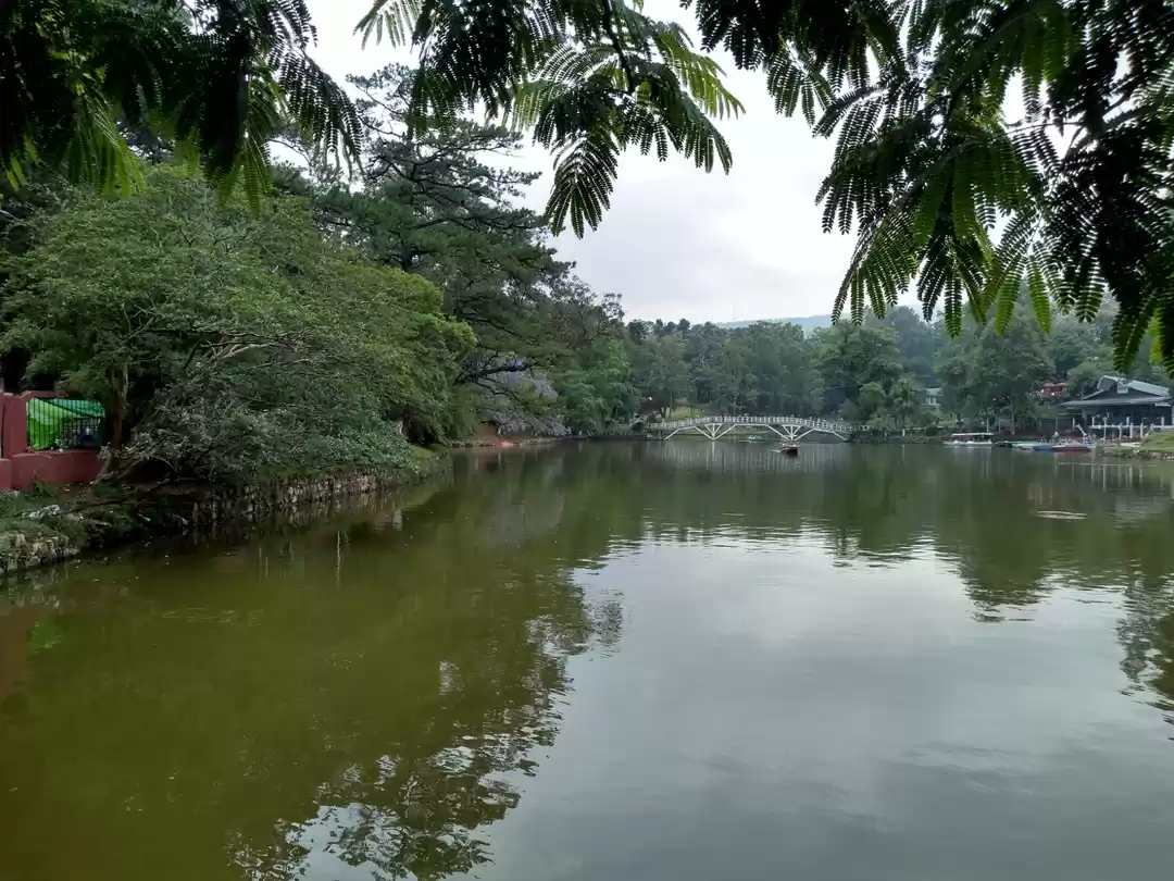 Photo of Ward's lake, Shillon