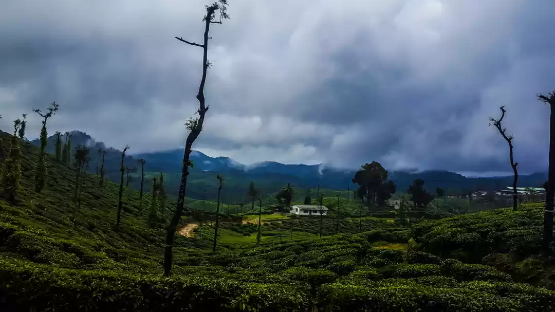 Photo of Read This Before You