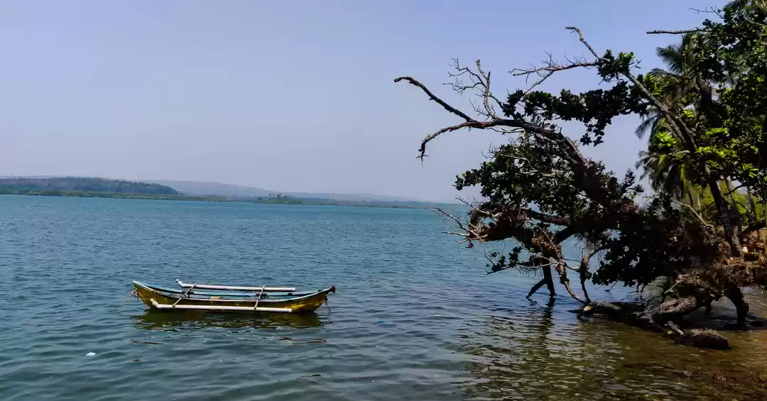 Photo of GOA:The most cancell