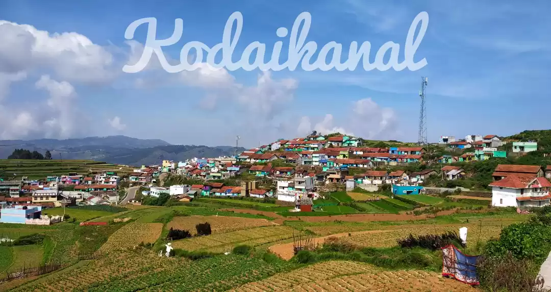 Photo of Kodai Diaries