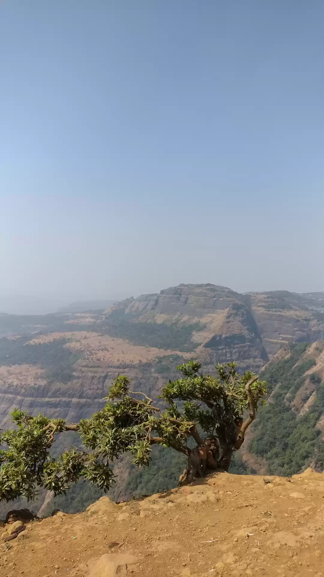 Photo of Trip to Lonavla #Wee