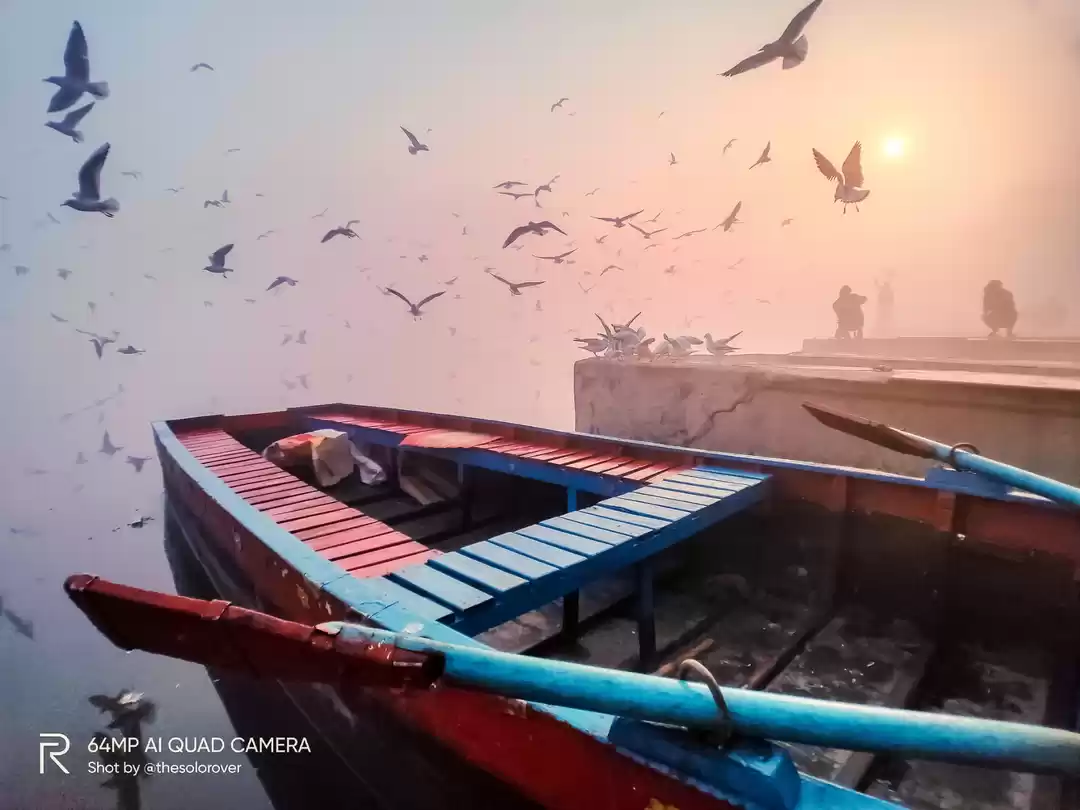 Photo of Golden Hour, Yamuna 
