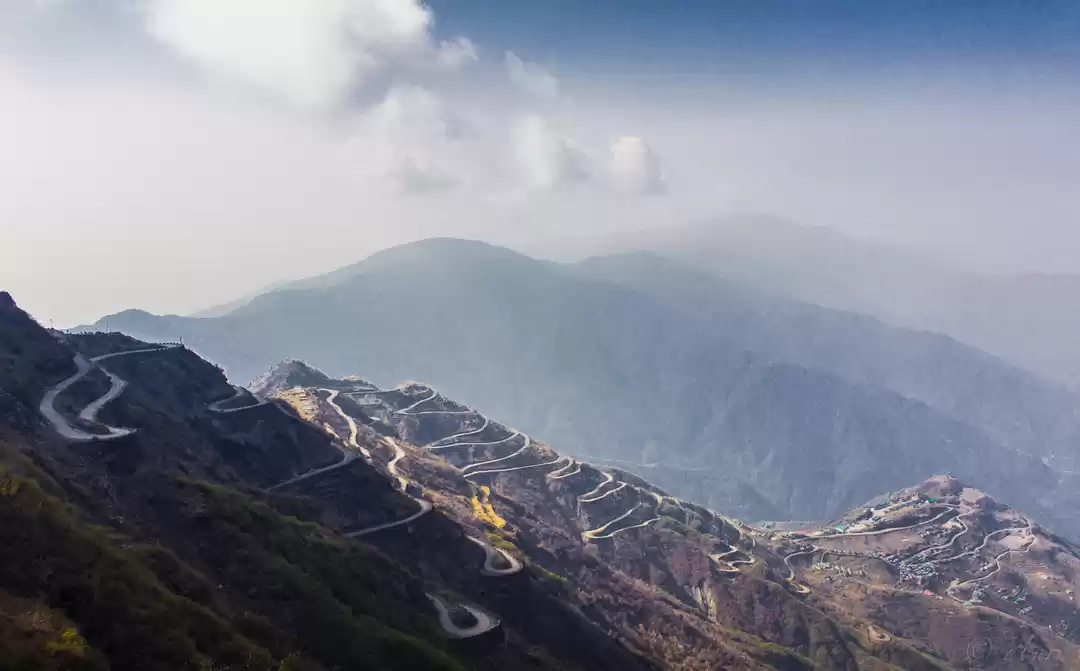 Photo of Silky Silk Route