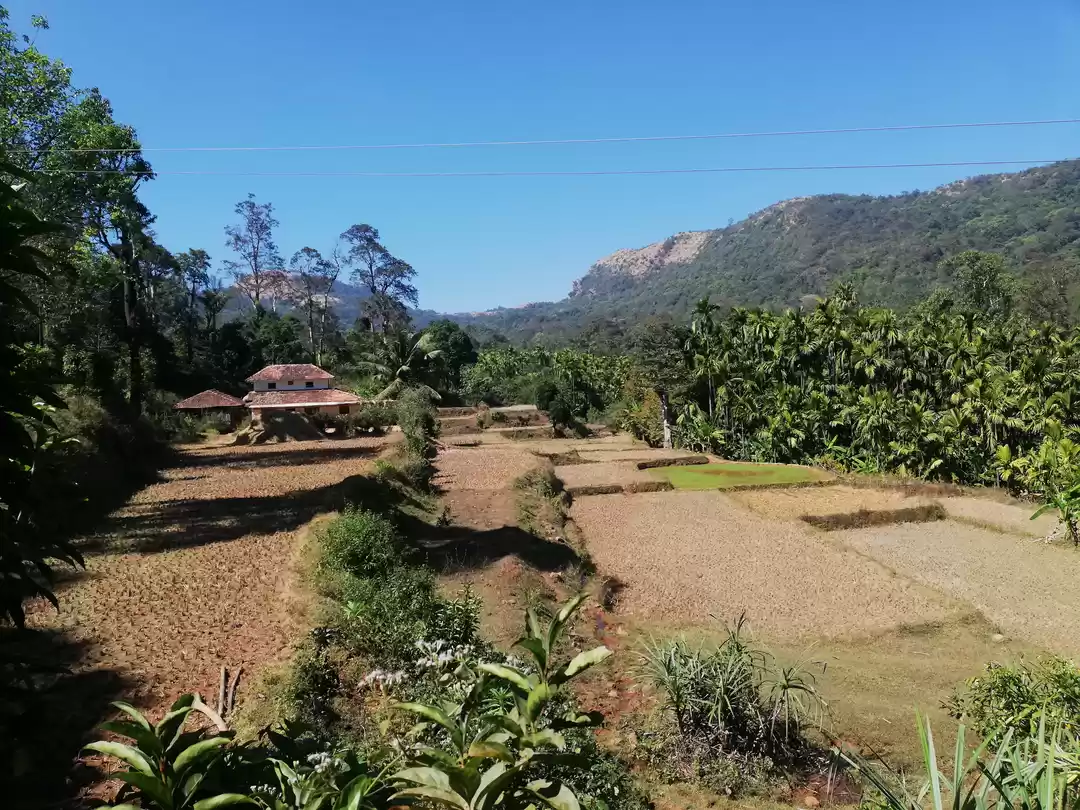 Photo of Kodachadri and Arish