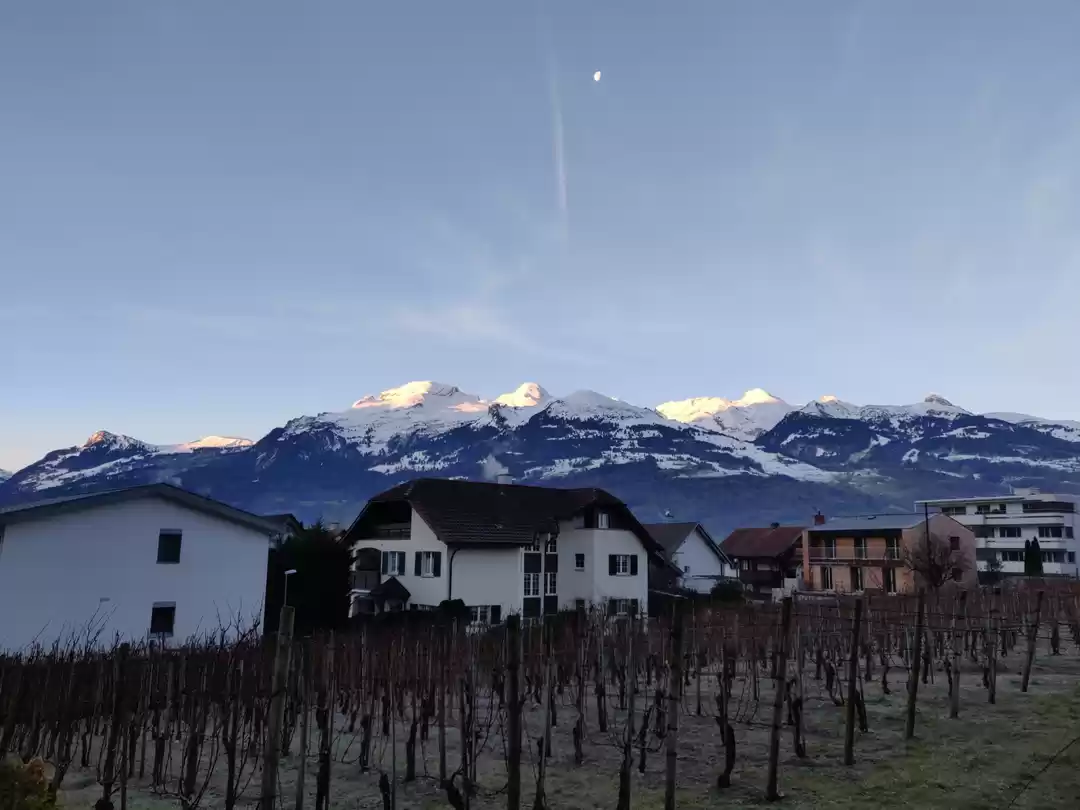 Photo of Small but beautiful 