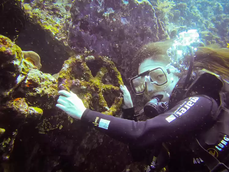 Photo of Diving With Fishes: 