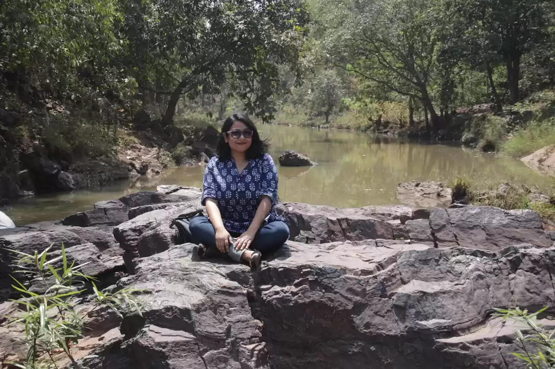 Photo of Saranda: A Forest Wh