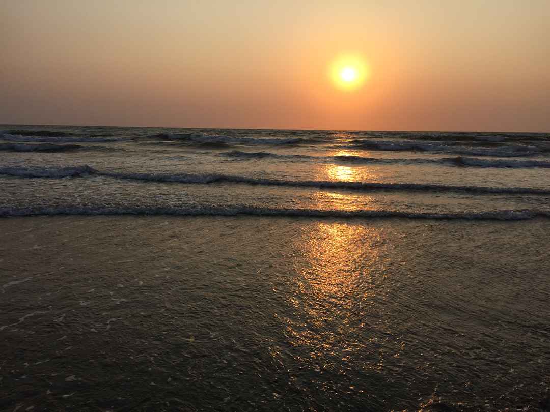 goa 39 s best