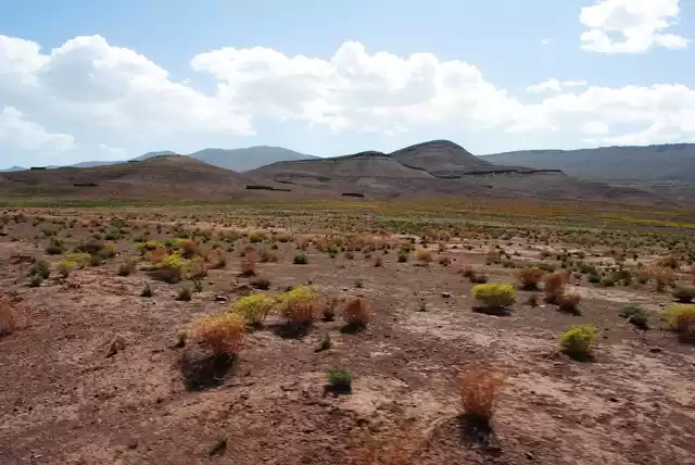 Photo of The Roads Less Trave