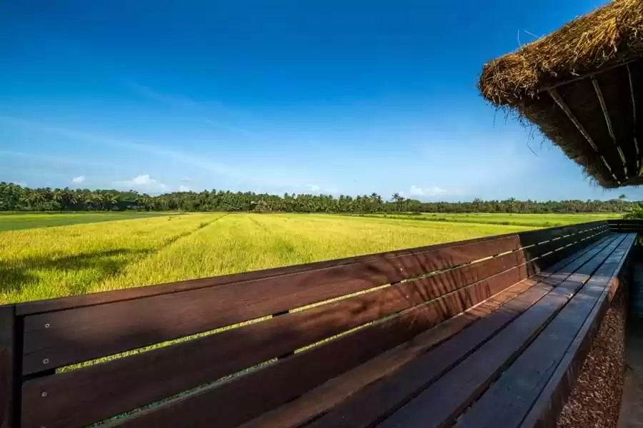 Photo of An Outstanding Exper