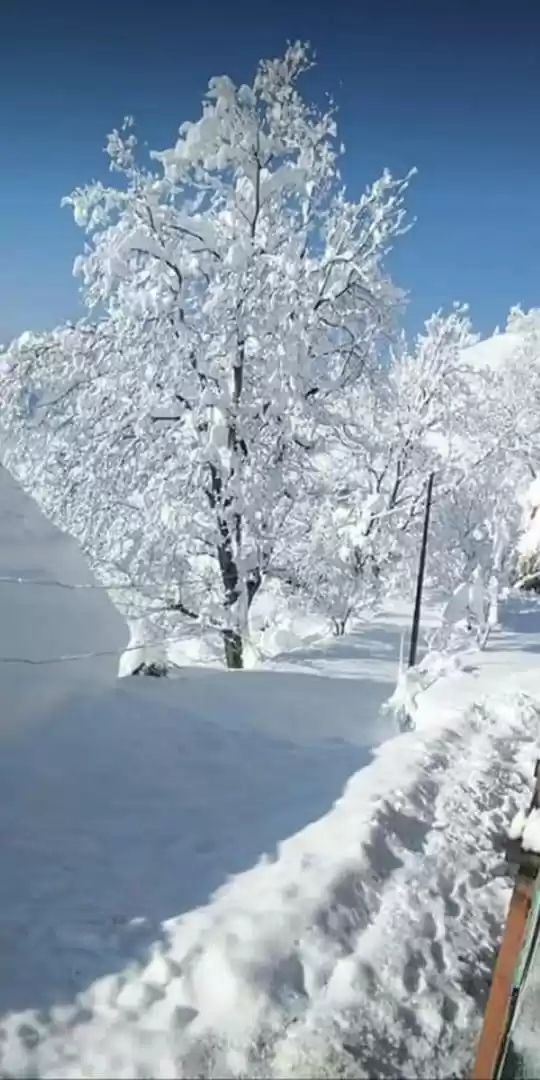 Photo of Snowfall in Banihal,
