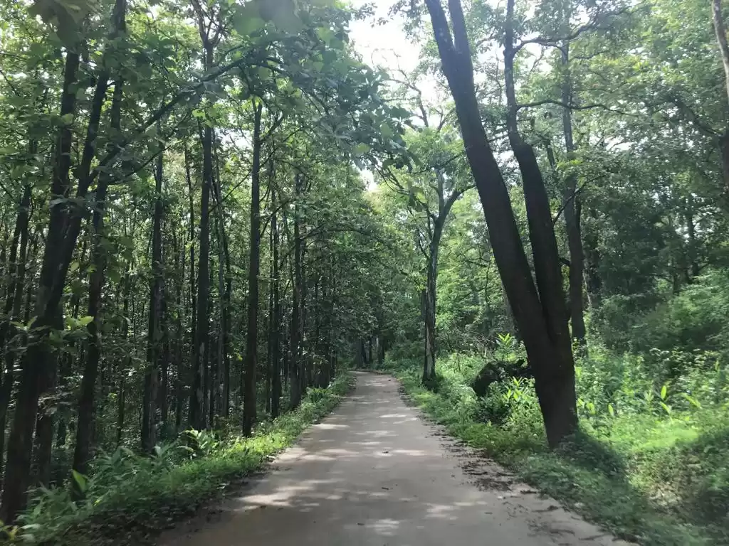 Photo of In to the Western Gh