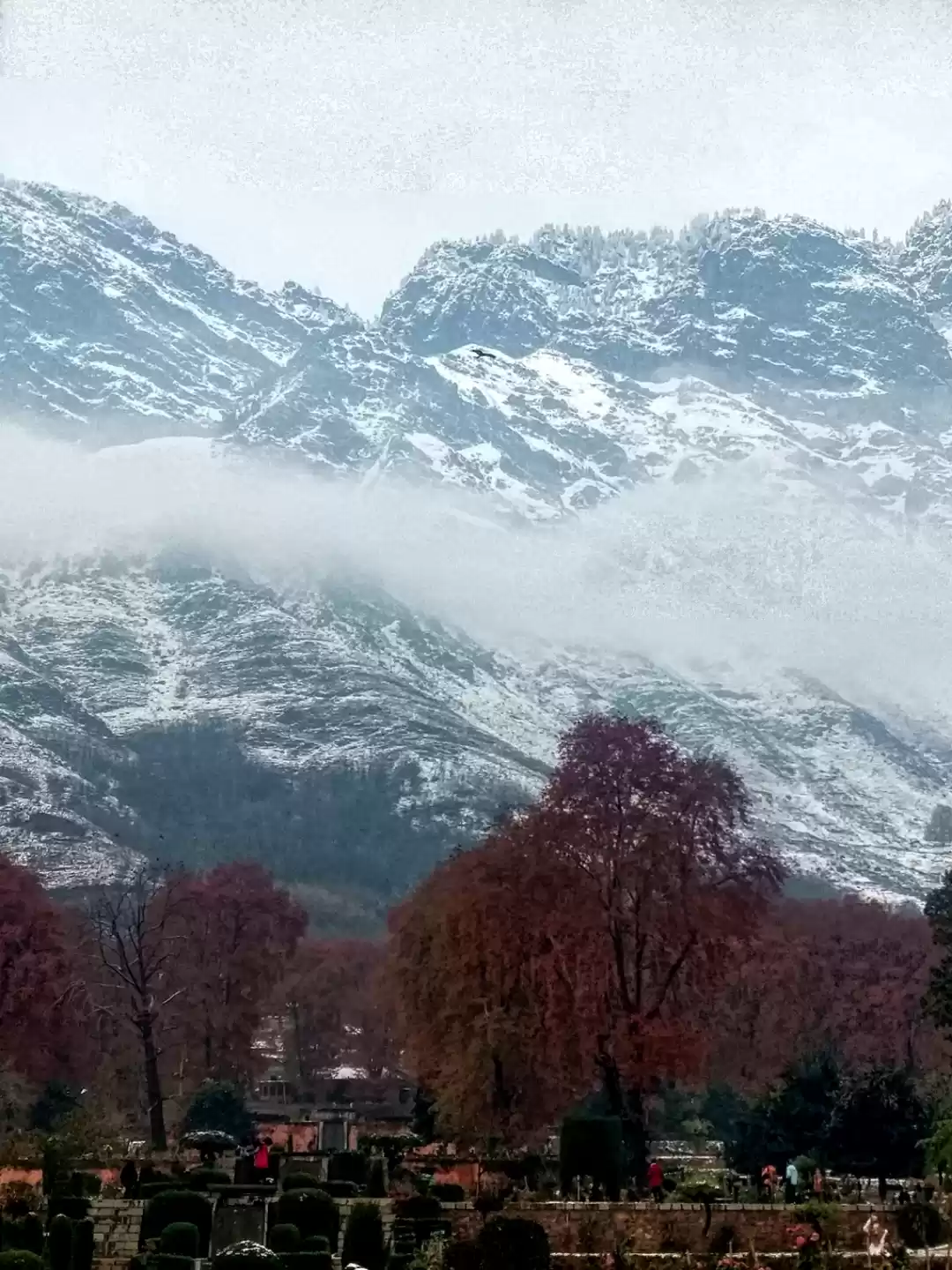 Photo of Kashmir!!! Where i E
