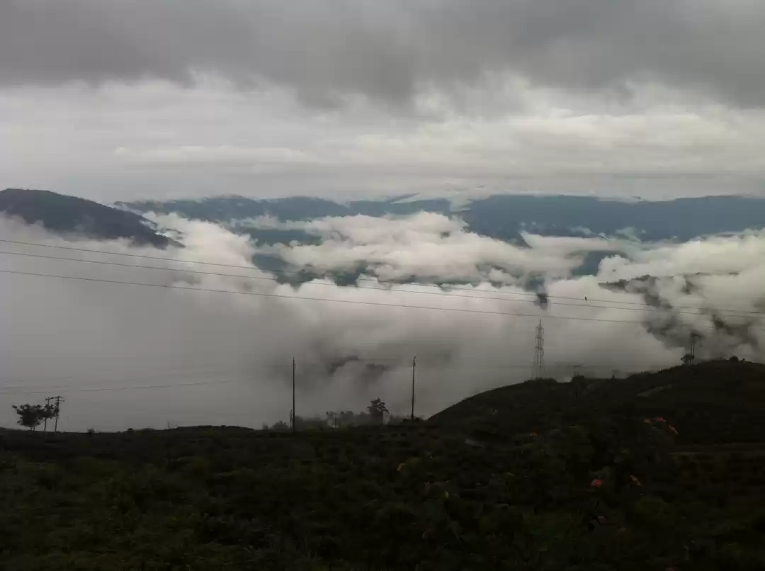 Photo of A cuppa of Darjeelin