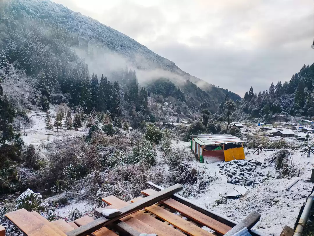 Photo of A journey amidst the