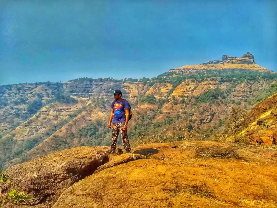 Photo of The Ultimate Irshalg