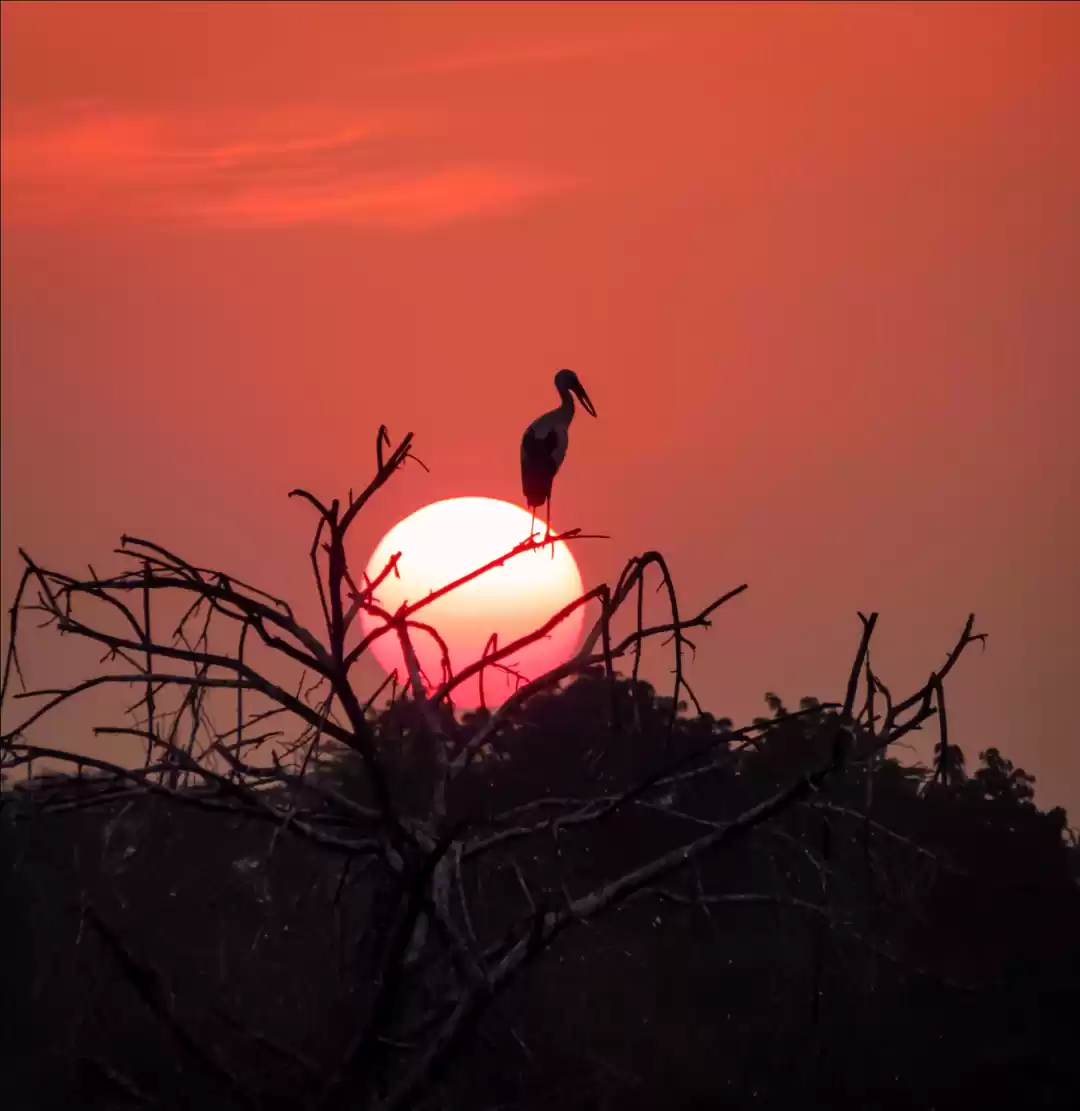 Photo of Enjoy Orange Sunsets