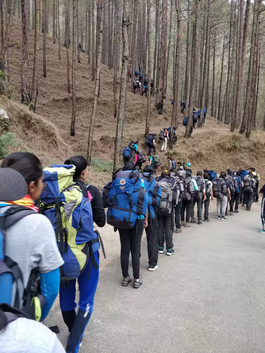 Photo of Climb on: Basic moun